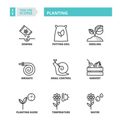 Thin line icons. Planting