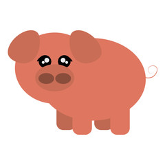 flat design cute pig cartoon icon vector illustration