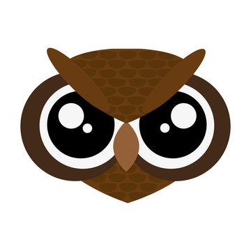 flat design cute owl cartoon icon vector illustration