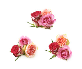 Rose buds composition isolated