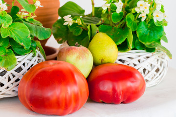 Fruits and vegetables from the garden, ripe red tomatoes, green apple and pear. with flowers in the background.