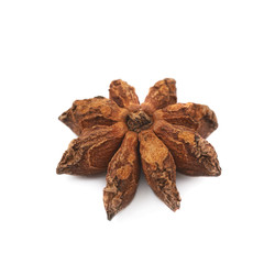 Chinese star anise seed isolated