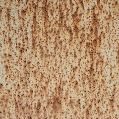 Fragment of an old rusted metal