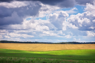 Beautiful summer landscape with green field and cloudy sky