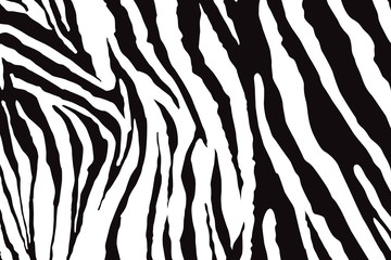 Zebra Pattern Vector