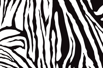 Zebra Stripes Pattern Vector