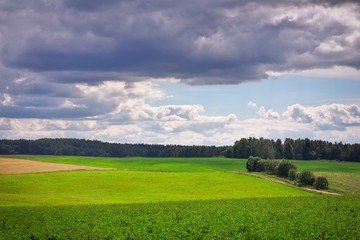 Beautiful summer landscape with green grass, road and clouds