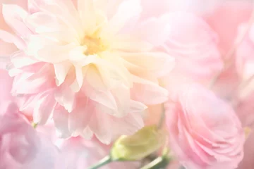 Papier Peint photo Lavable Fleurs Fond de fleur de pivoine rose