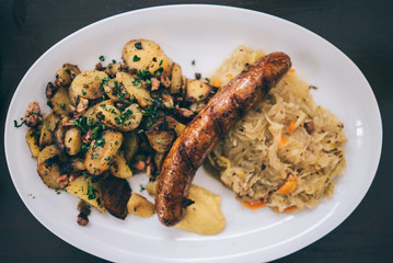 Puppy chilling out with its owner at a coffee shop in the neighbourhood of Neukolln 