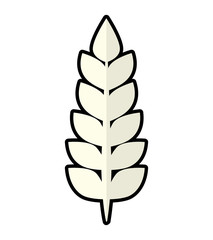 Grain concept represented by wheat ears icon. Isolated and flat illustration