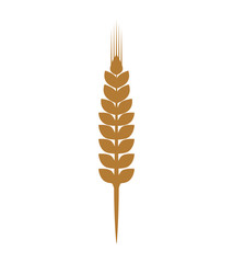Grain concept represented by wheat ears icon. Isolated and flat illustration