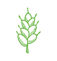 Grain concept represented by wheat ears icon. Isolated and flat illustration