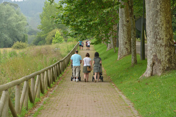 Fototapeta premium paseando bajo los árboles