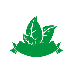 Nature and spring concept represented by leaf icon. Isolated and flat illustration