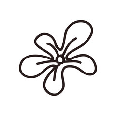 Sketch concept represented by flower icon. Isolated and flat illustration