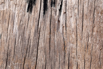 Old wood texture.