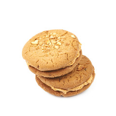 Peanut butter homemade cookie isolated