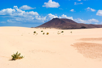 Fototapeta na wymiar Sand dune near Corralejo with volcano mountains in the background. Fuerteventura. Canary Islands. Spain