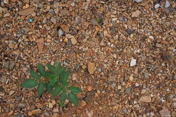 sand and rock texture