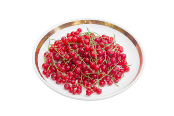 Berries of redcurrant on saucer