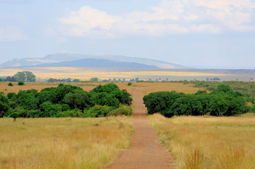 Savannah landscape in the National park of Kenya