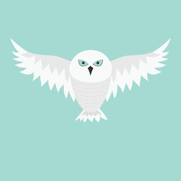 Snowy white owl. Flying bird with big wings. Blue eyes. Arctic Polar animal collection. Baby education. Flat design. Isolated. Sky background.