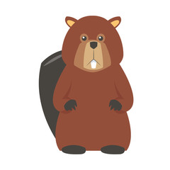 flat design single beaver icon vector illustration