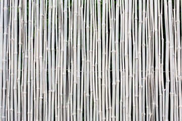 White bamboo fence texture background
