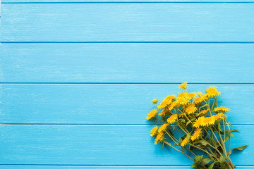 Yellow daisy on a blue board
