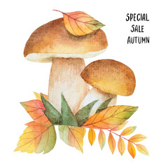 Watercolor mushrooms with autumn leaves on a white background.