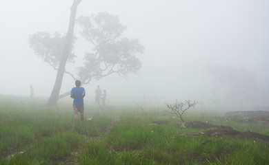 People walk along grass field in the morning fog.