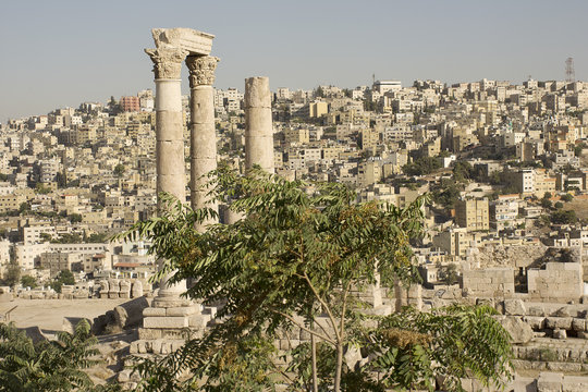 Amman city from citadel - old & future  