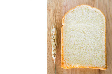 slice of bread
