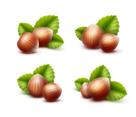 Full Unpeeled Realistic Hazelnuts with Leaves Isolated