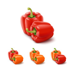 Vector Set of Colored Orange and Red Sweet Bulgarian Bell Peppers, Paprika Isolated on White Background