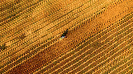 Aerial view of combine harvester in wheat field