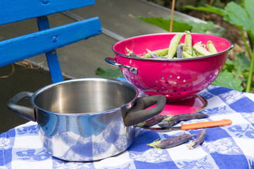 Open marrow fat and green pea in blue