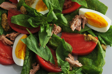 tuna salad - tuna, spinach, egg, tomatoes, mustard close up