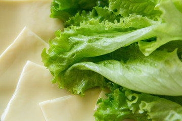 cooking fast food rolls. cheese and lettuce