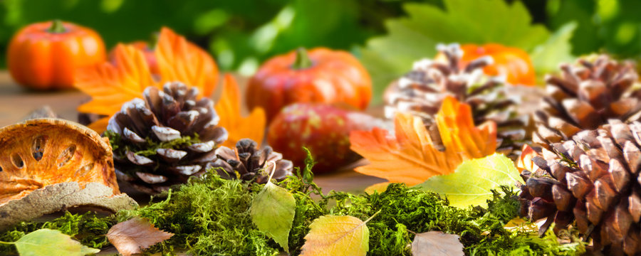 Herbst Dekoration