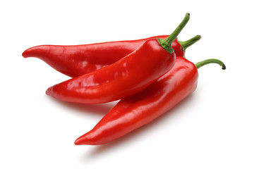 Red Pepper