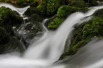 stream in the forest
