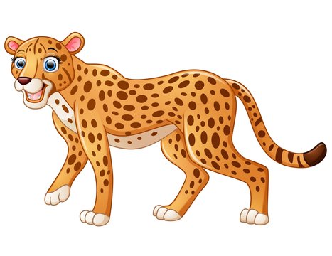 Cartoon Leopard Images – Browse 27,189 Stock Photos, Vectors, and Video |  Adobe Stock