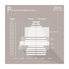 The Population Pyramids Chart with 4 Age Generation