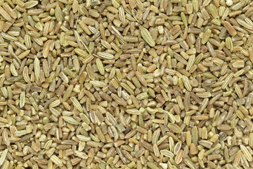 Organic fennel (Foeniculum vulgare) in big cut size. Macro close up background texture. Top view.