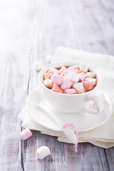 Hot chocolate with mini marshmallows