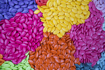 Colorful chocolate buttons, blue, yellow and pink use for designer