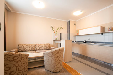 Hotel apartment living room and kitchen