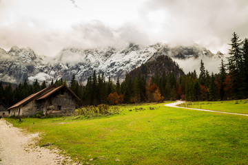 Autumn morning in the alps