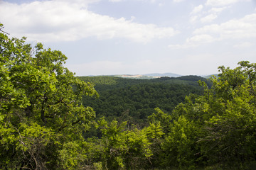 Hungarian landscape